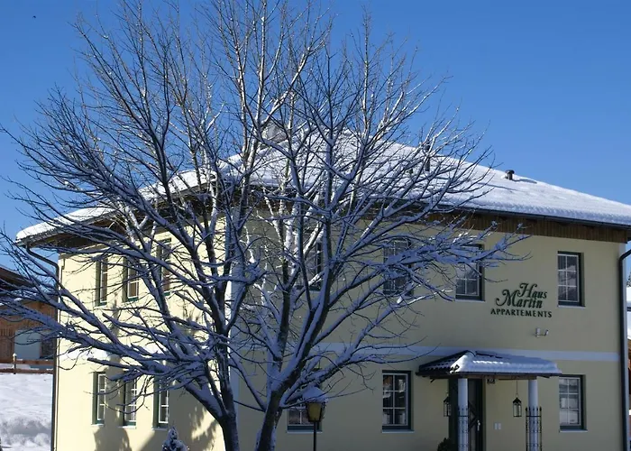 Martin Appartement Westendorf
